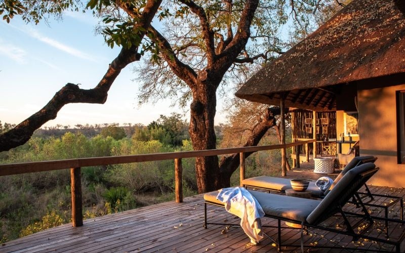 Londolozi Varty 12